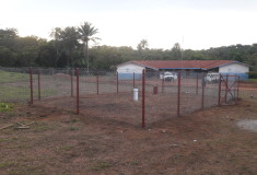 Barkedu_2019-08-01[1]