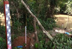 Gee Fall_Upstream_Kitoken 1