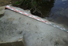 Haindii_April_11_2014_5