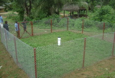 Haindii_Rainfall Station