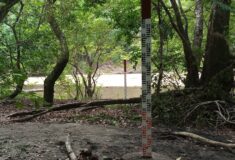 IMG_20220403_174420_404