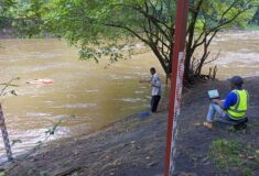 IMG_20220712_124515_023