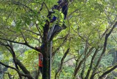 IMG_20220712_130737_614