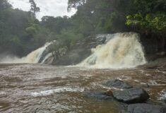 IMG_20220712_141326_418