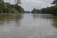 St. Paul River at Haindii