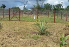 received_280520779912913