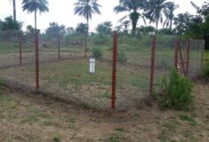 received_949627828794602