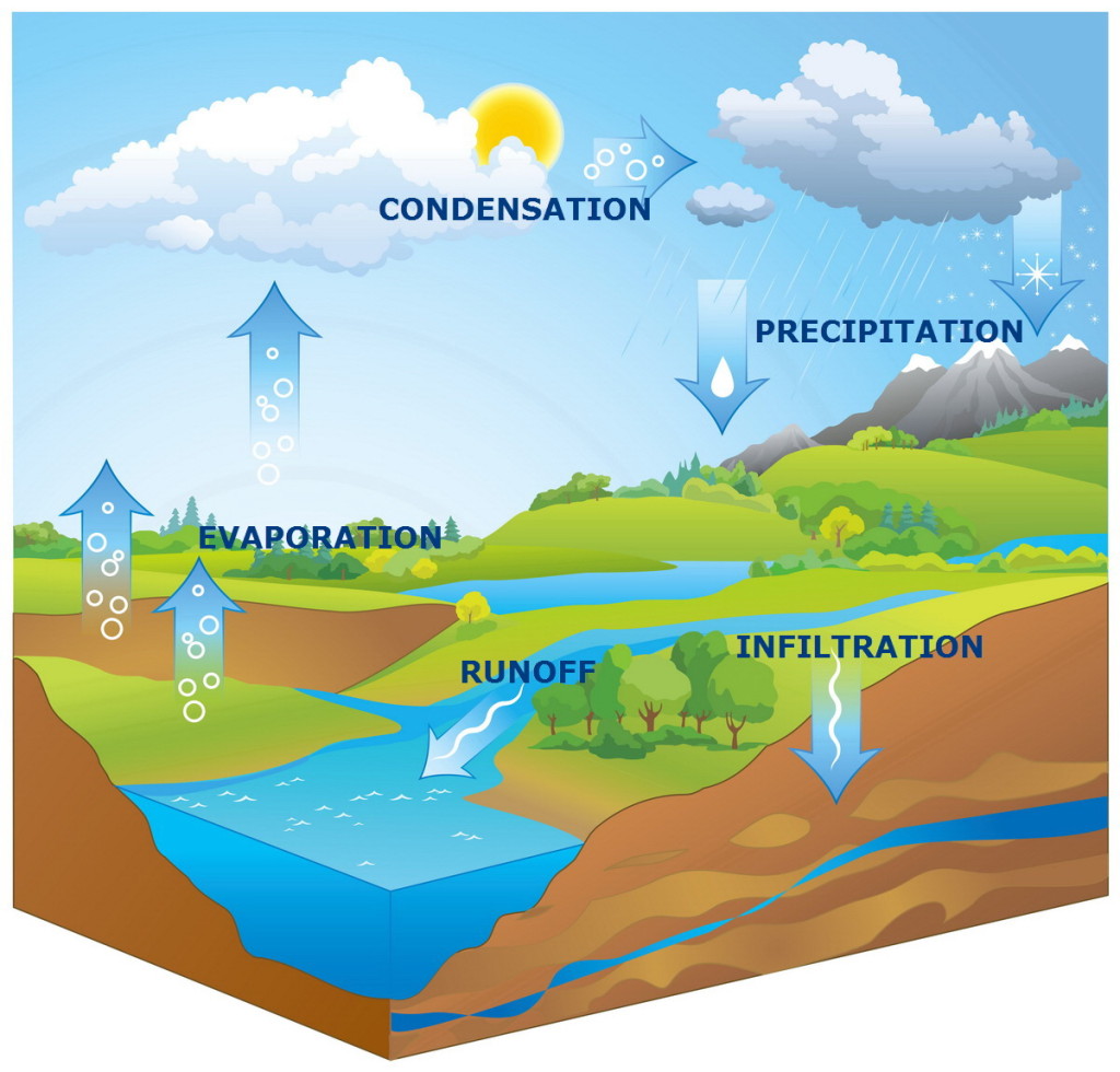 water_cycle2